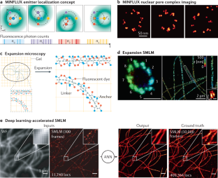 elevated-mapping-localization-technology-inspectio-9166.png