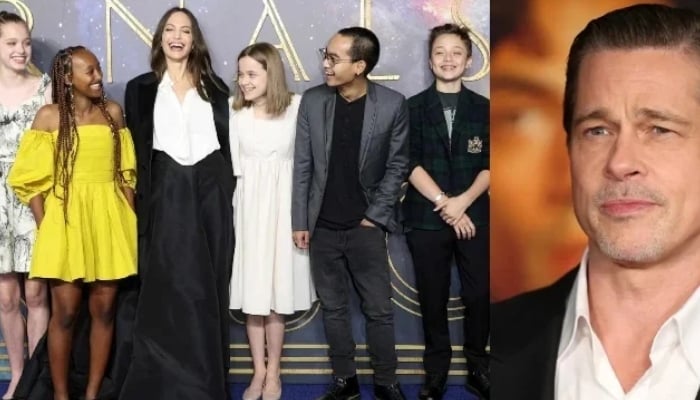 angelina-jolie-celebration-plans-8187.jpeg
