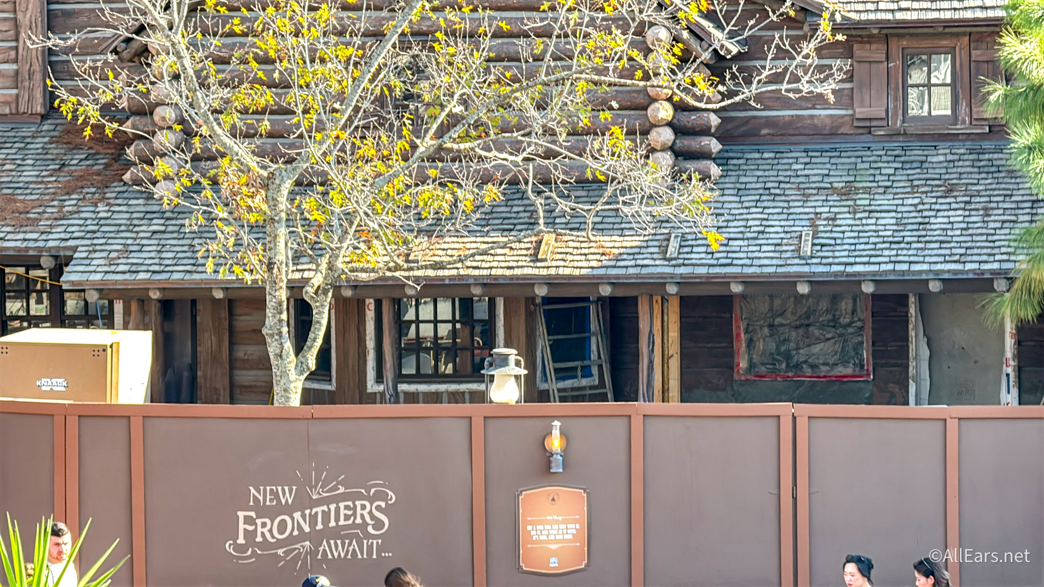 disney-epcot-new-popcorn-bucket-announcement-7829.jpeg