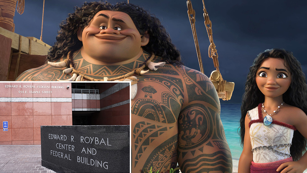 disney-moana-copyright-6073.jpeg