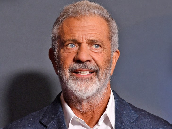 doj-official-fired-gun-rights-mel-gibson-6800.jpeg