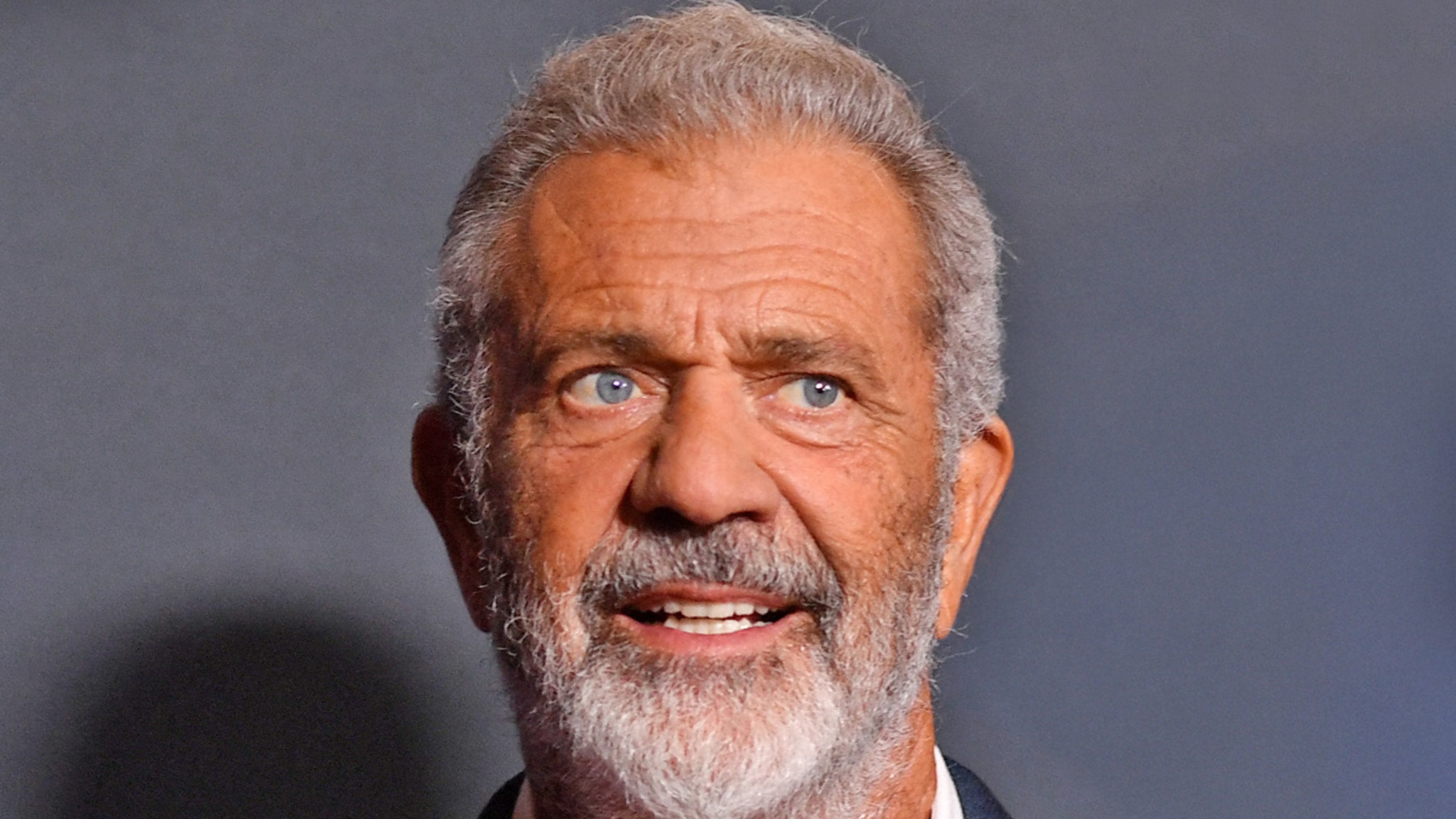 doj-official-fired-gun-rights-mel-gibson-7641.jpeg