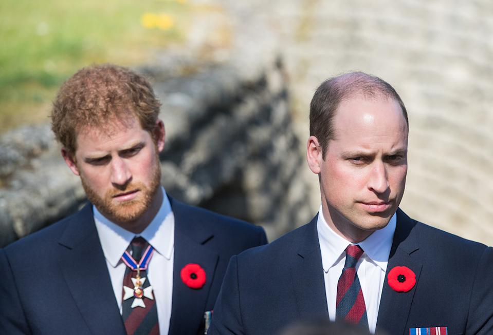 prince-harry-william-royal-fans-5529.jpeg