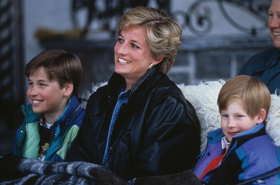 prince-harry-william-royal-fans-8031.jpeg