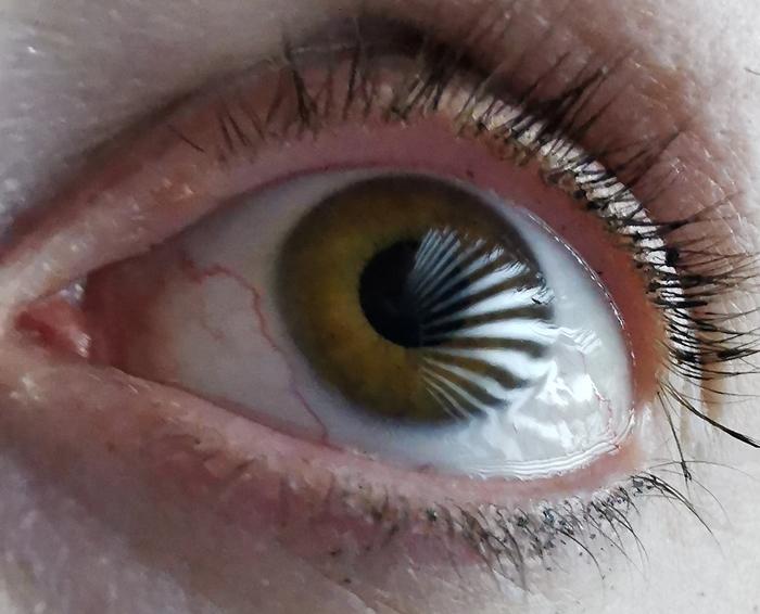 eye-tracking-tech-vision-revolution-1368.jpeg
