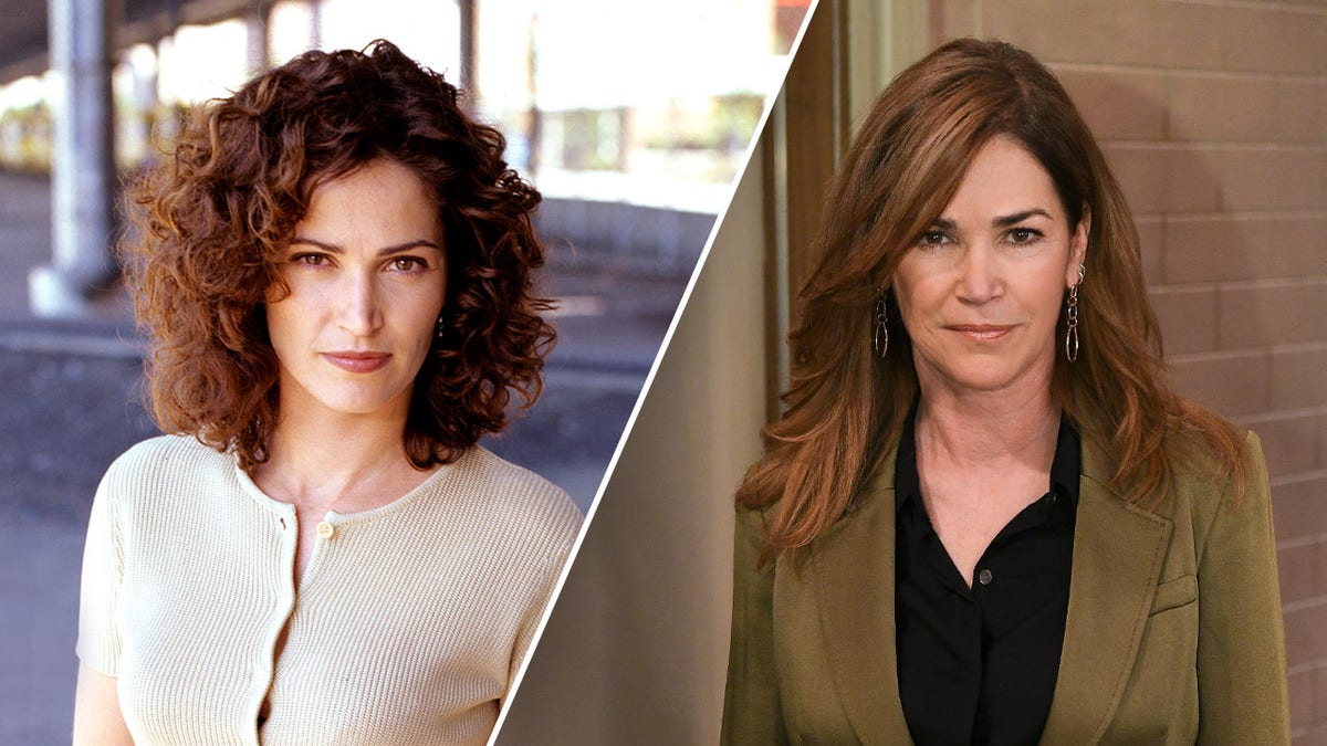 kim-delaney-nypd-blue-arrest-0965.jpeg