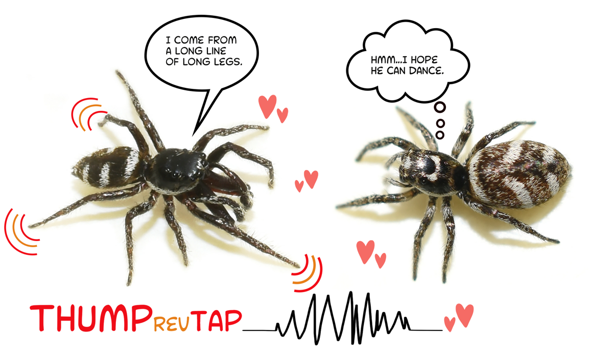 science-interpreters-5971.png