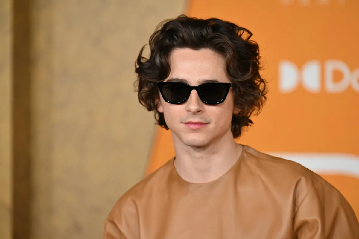 timothe-chalamet-home-location-photo-2499.jpeg