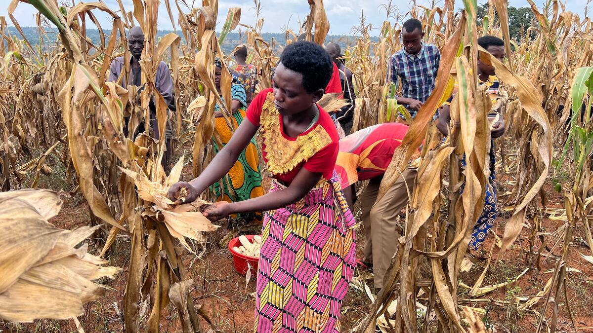 worldvision-hunger-crisis-spots--6102.jpeg