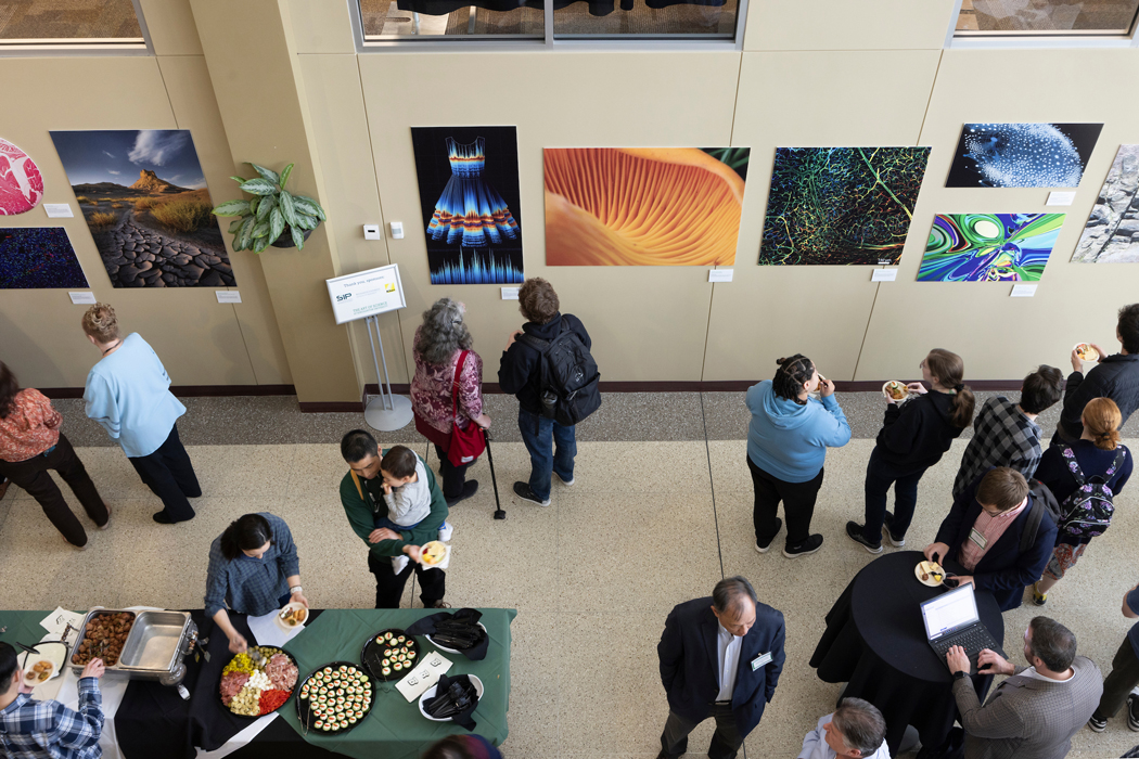 binghamton-university-art-of-science-conch-shell-x-8140.jpeg