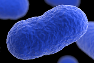 cdc-fda-listeria-outbreak-shakes-deaths-7622.png