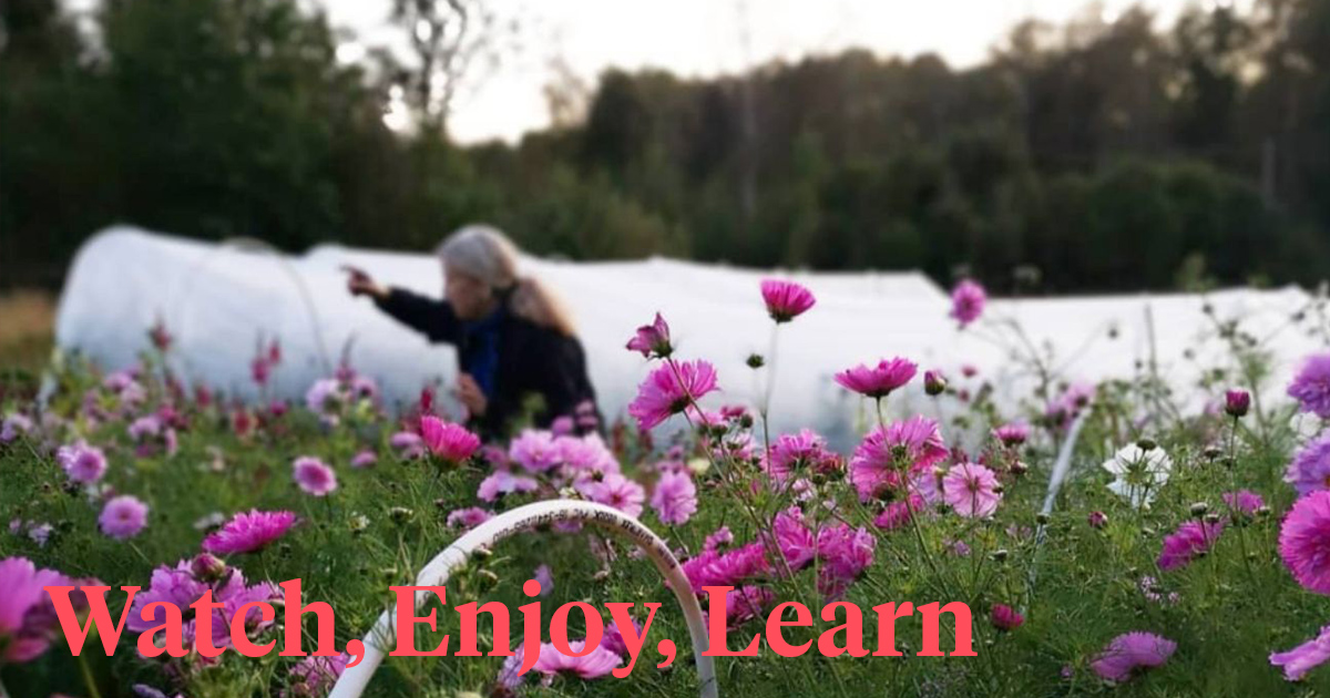 flower-farming-youtube-channels-0077.jpeg