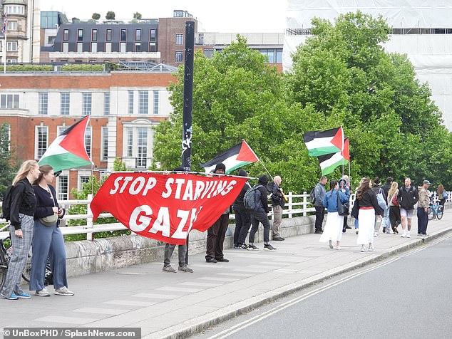 gal-gadot-pro-palestine-protest-london-filming-9263.jpeg