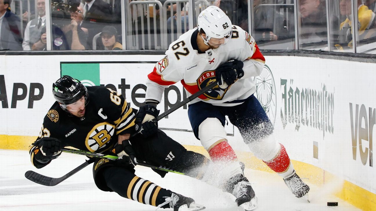 hurricanes-capitals-series-victory-troll-8954.jpeg