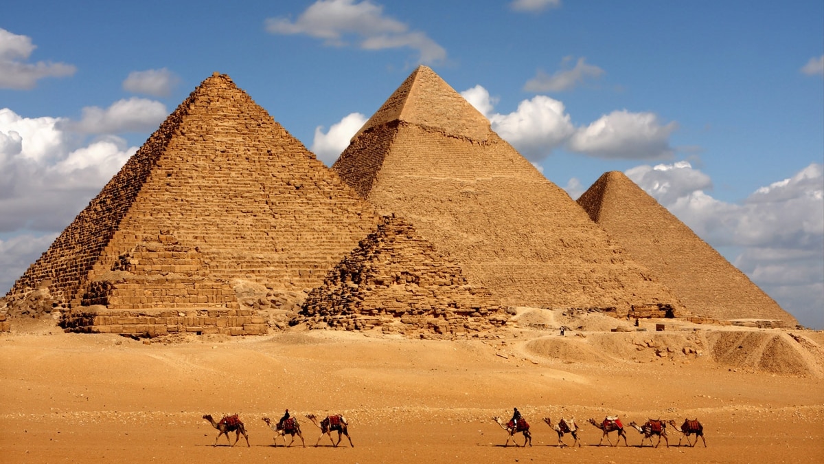 nile-entertainment-son-soil-actioner-rights-4162.jpeg