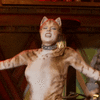 practical-magic-sequel-ohnoydidnt-3652.gif