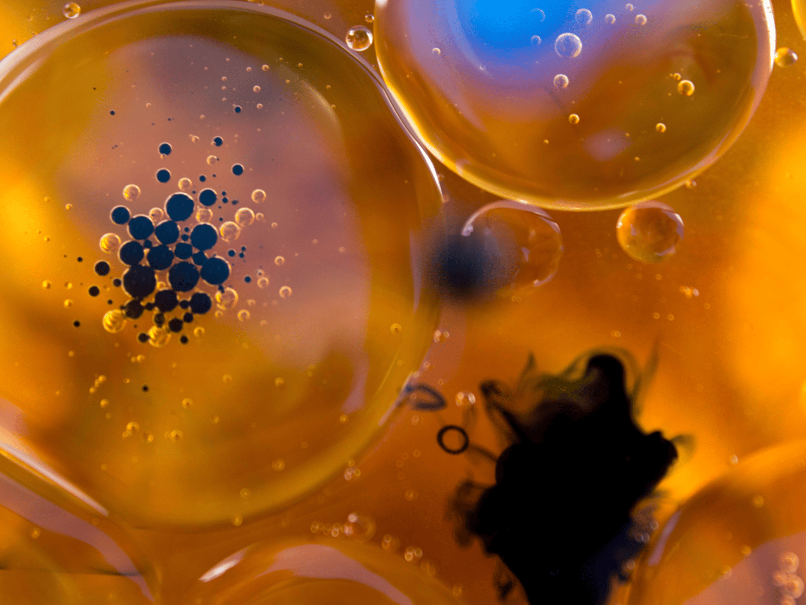 rekka-albert-nas-election-bio-physicist-0746.png