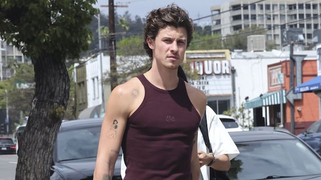 shawn-mendes-lunch-with-dr-jocelyne-miranda-7631.jpeg