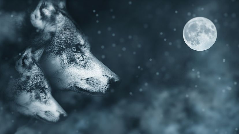 skinwalker-detection-tech-utah-7067.jpeg