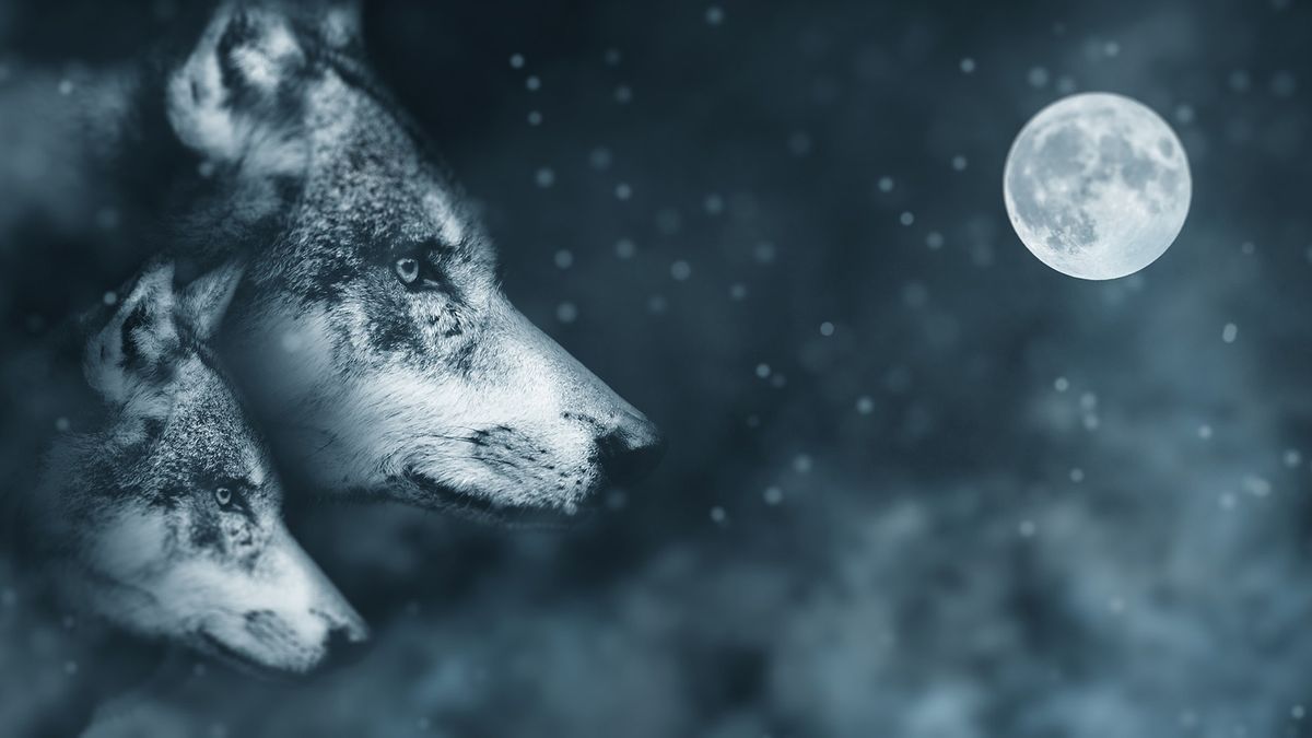 skinwalker-detection-tech-utah-8042.jpeg