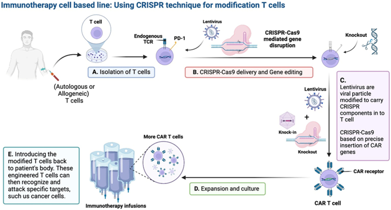 stem-cell-therapy-brain-diseases-hybrid-0357.jpeg