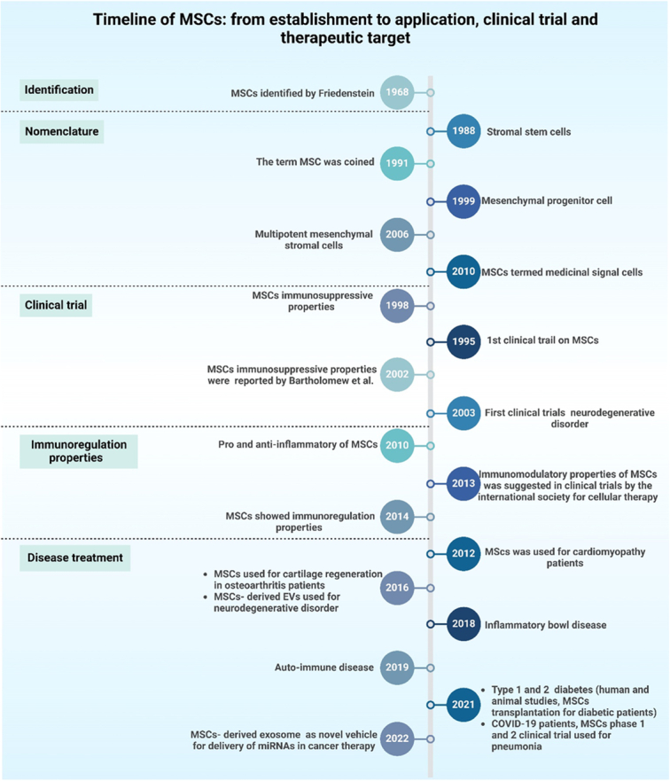 stem-cell-therapy-brain-diseases-hybrid-4684.jpeg