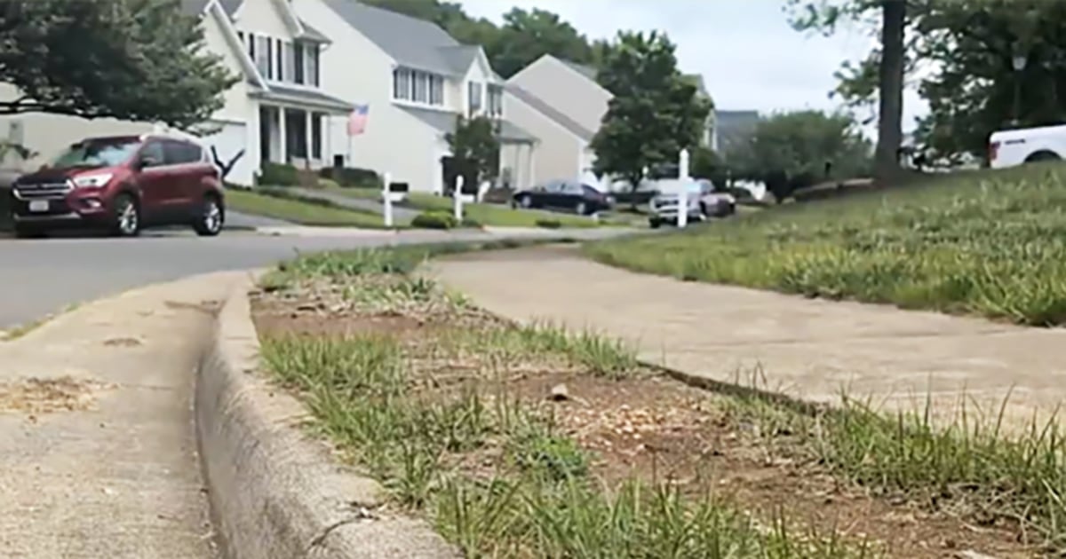 teen-shot-during-ding-dong-ditch-prank-4234.jpeg