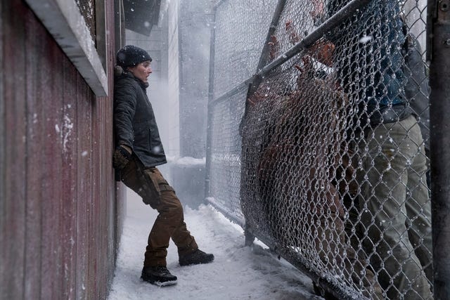 the-last-of-us-season-2-episode-6-5038.jpeg