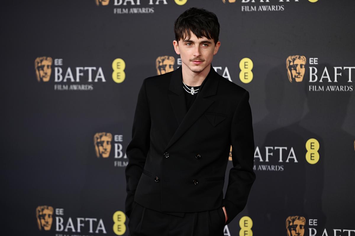 timothe-chalamet-italian-award-cinematic-excellenc-4249.jpeg