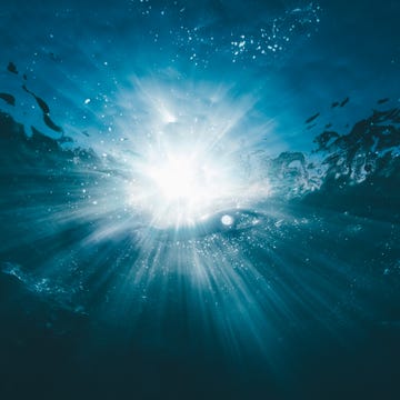 What a 37-Dimensional Photon Reveals About Reality's Limits