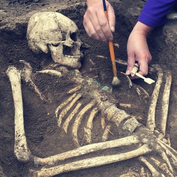 What a 37-Dimensional Photon Reveals About Reality's Limits